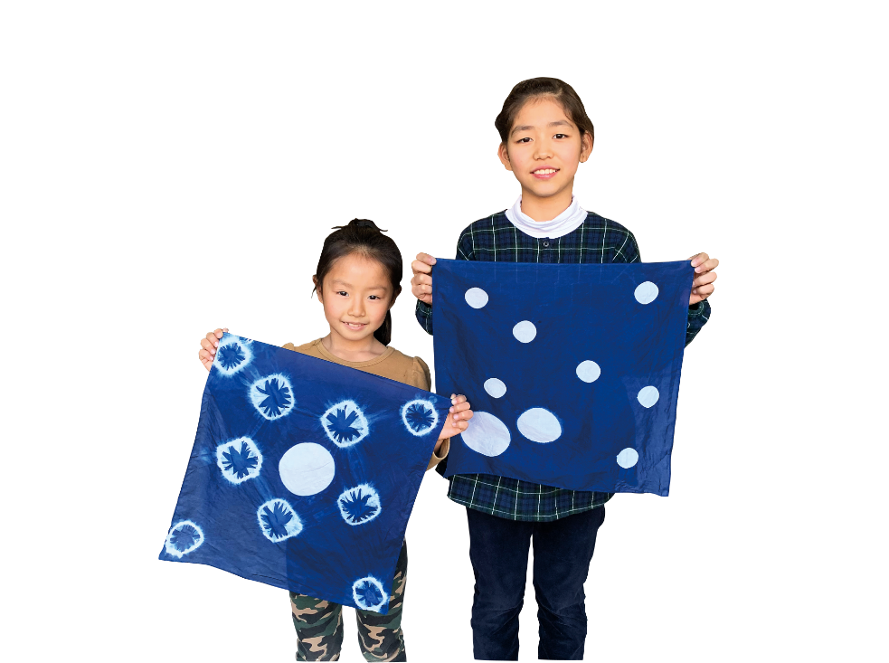 Indigo Dyeing Workshop: No Equipment Needed